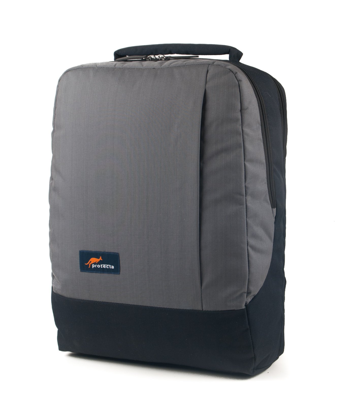 Protecta Type A Laptop Backpack for Laptops with Screen Size up to 15.6 Inches (Black & Grey) (B07B8GQLQH) Amazon Price History, Amazon Price Tracker