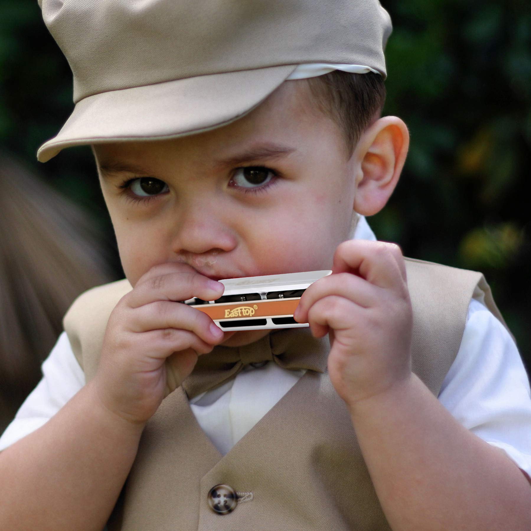 Armonica Blues Diatonica Professionale A 10 Fori Chiave Di Do Con