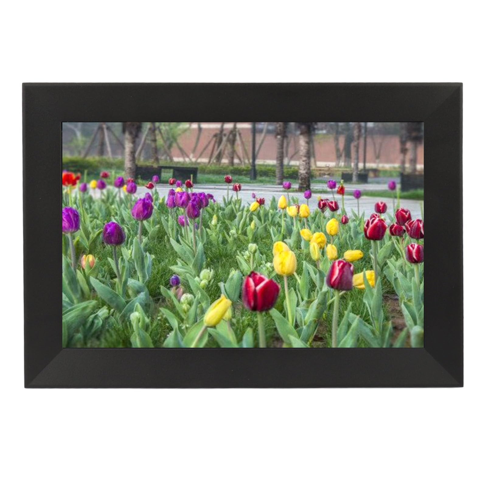 10.1 Inch HD Digital Picture Frame, 16GB Storage, Auto Rotate, for Home & (US Plug)