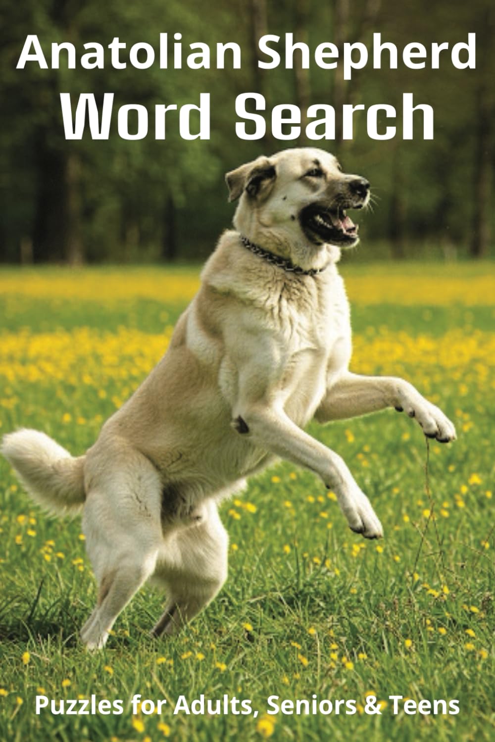 Words About Anatolian Shepherd Dogs Word Search Puzzles: Easy-to-Read Word Searches About Anatolian Shepherd Dogs – Loyal Companions, Training, Fun ... Pet Lovers, Vacations, and Relaxing Moments