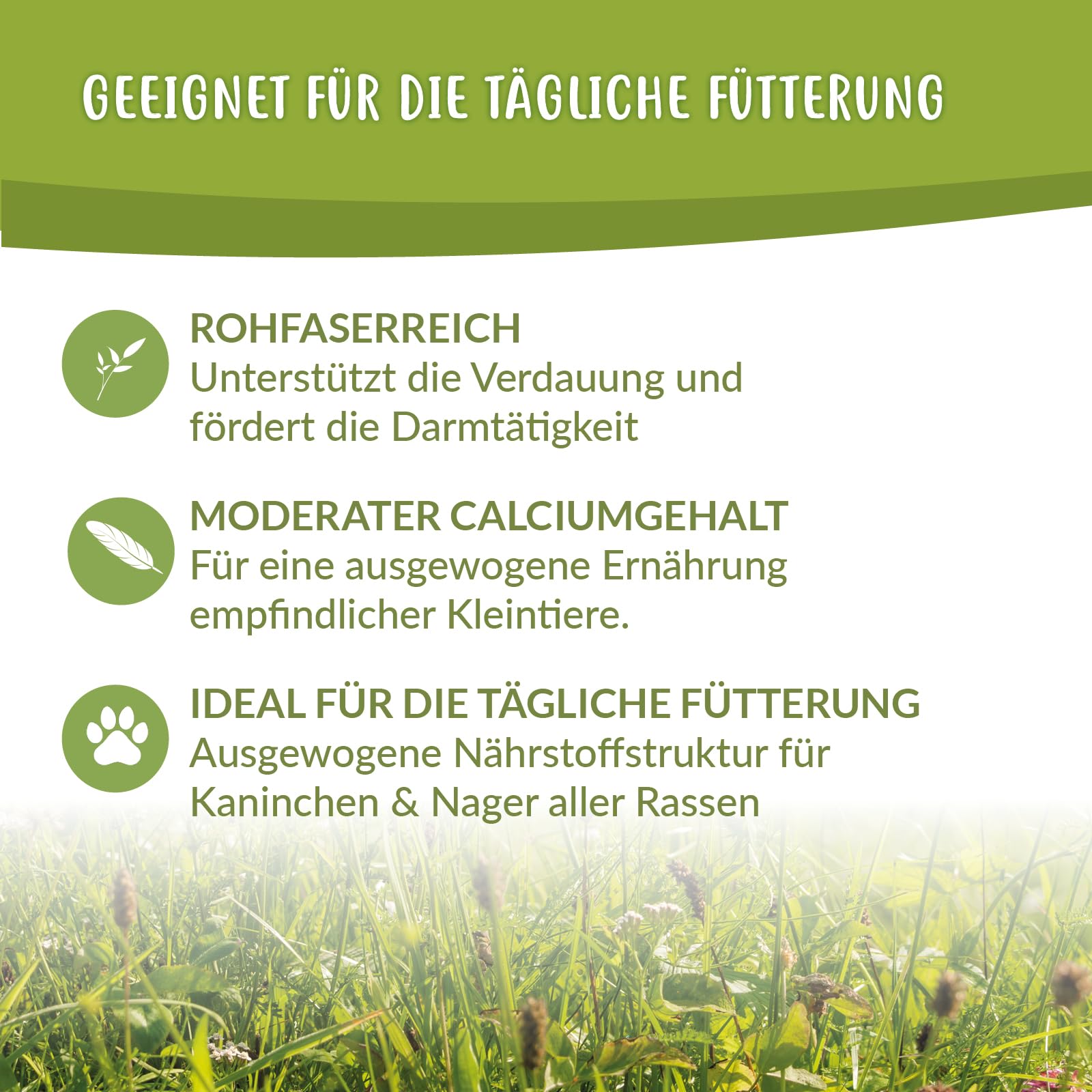 Timothy Heu 15 kg (10x 1,5 kg) – Premium Lieschgras aus Kanada – strukturreiches, staubarmes Raufutter für Kaninchen & Meerschweinchen – locker verpackt