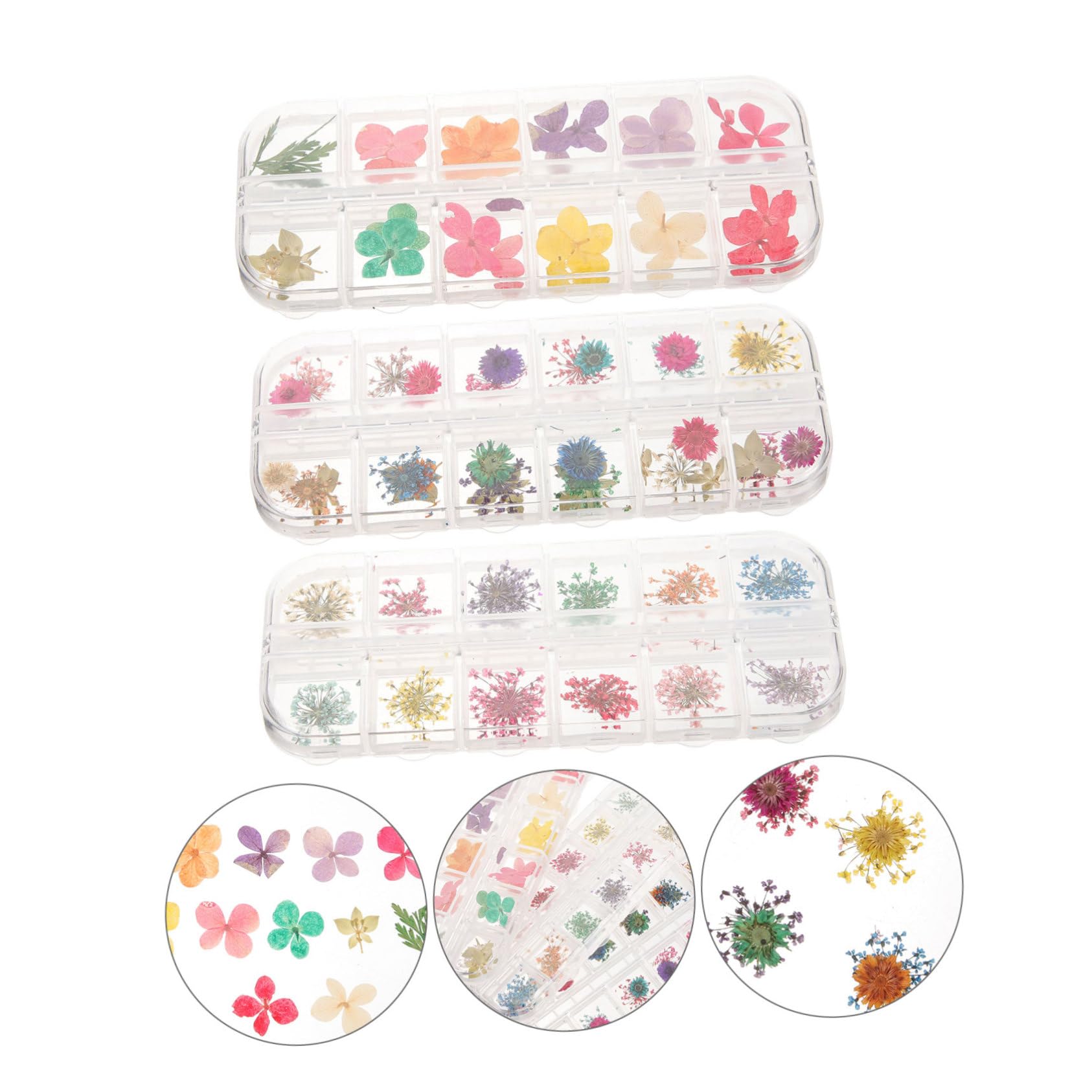 Amosfun Fleurs Séchées Naturelles pour Résine Époxy Kit De Boîtes pour Artisanat De Et Bougie Décoration Créative Parfum Naturel Et Éclat