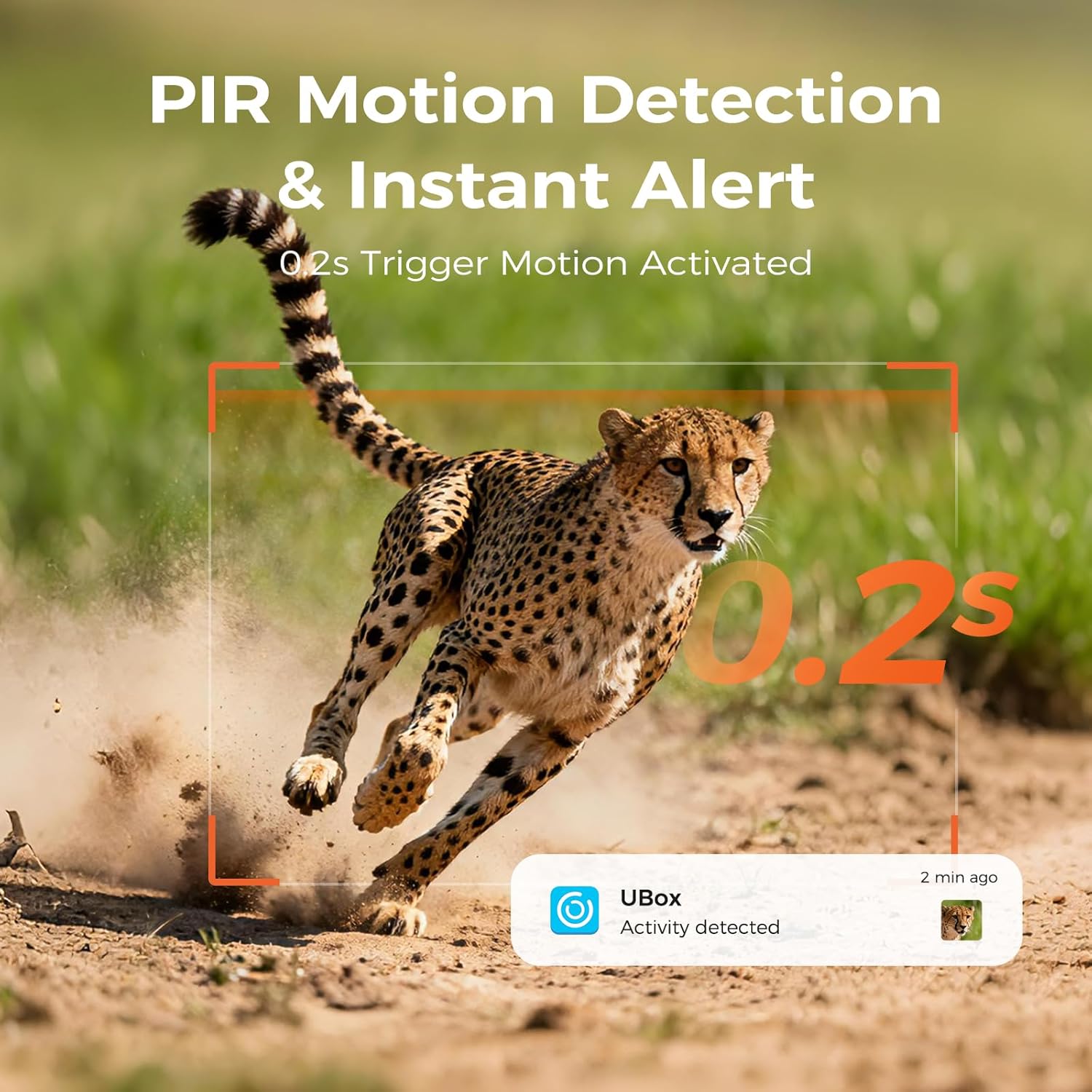 LIWAN Cellular Trail Camera 2 Pack, 4G LTE SIM Card Included, Solar Game Cellular Camera, No WiFi, 360° Live Feed, 2K Color Night Vision Motion Activated, Remote Access, IP66 Waterproof for Wildlife