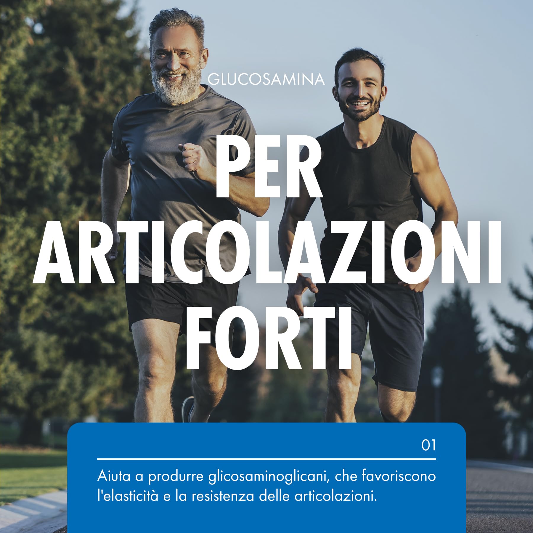 Incite Nutrition Complesso ad alta resistenza con glucosamina e condroitina con MSM, vitamina C, zenzero, rosa canina - Integratori per la cura delle articolazioni, 120 pezzi (confezione da 1)
