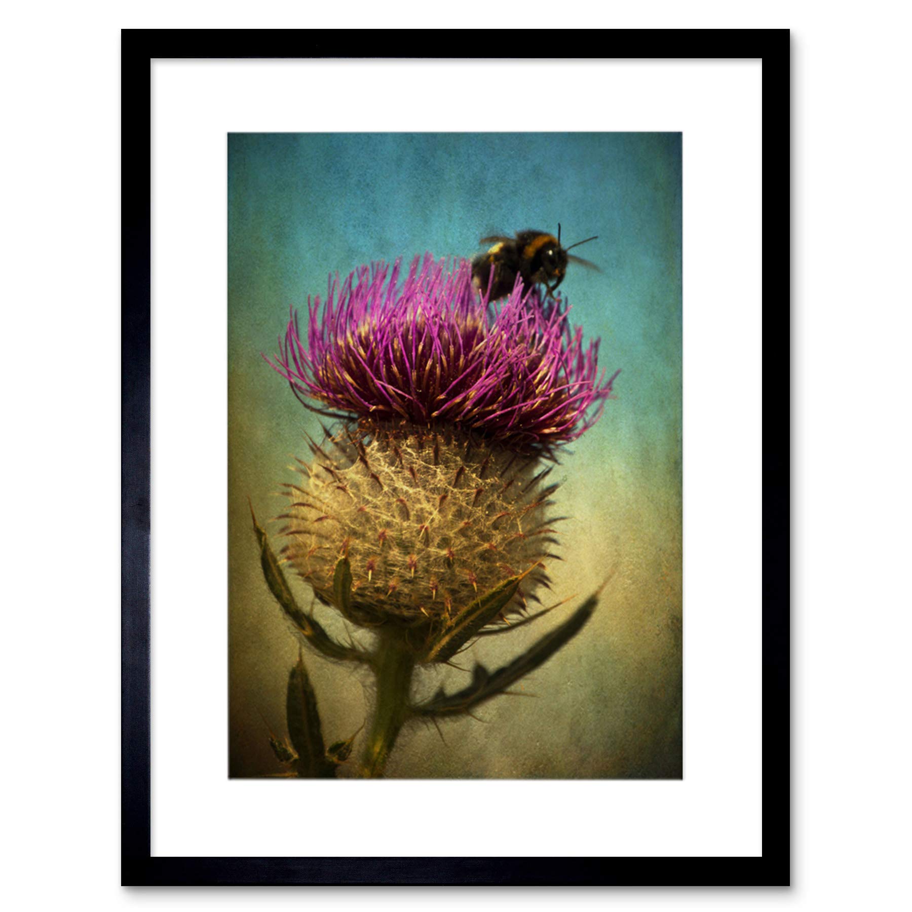 Wee Blue Coo Photo Composition Bumble Bee Thistle Flower Scotland Framed Wall Art Print