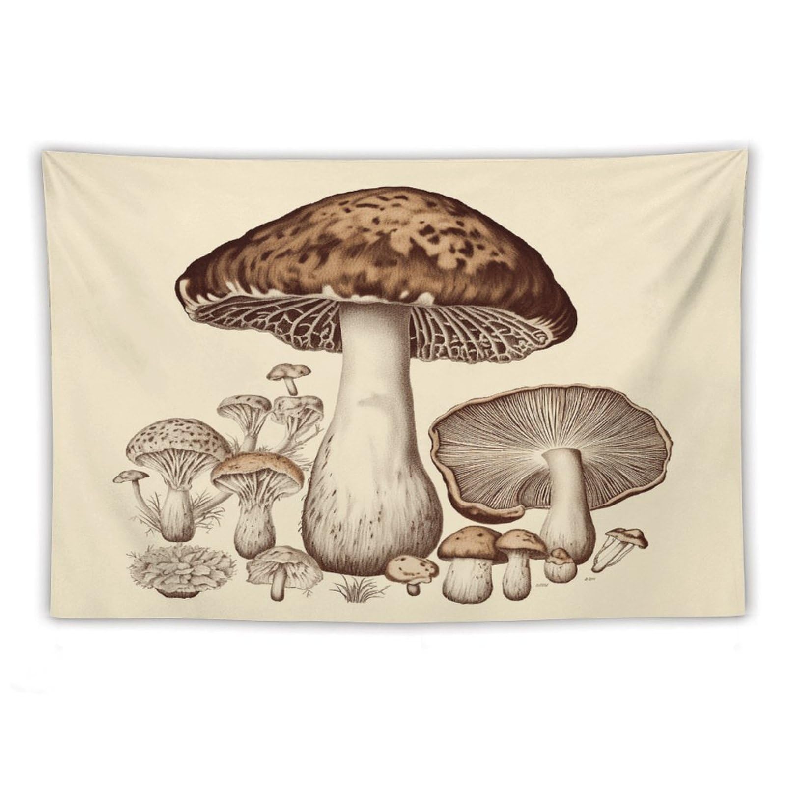 LDGSUPH Vintage Mushrooms Drawing Tapestry Wall Hanging Decor Anti-fading Aesthetic Wall Tapestries Fashion Wall Blanket Decor Modern Wall Art Tapestry for Bedroom Home Decor 60"x90"