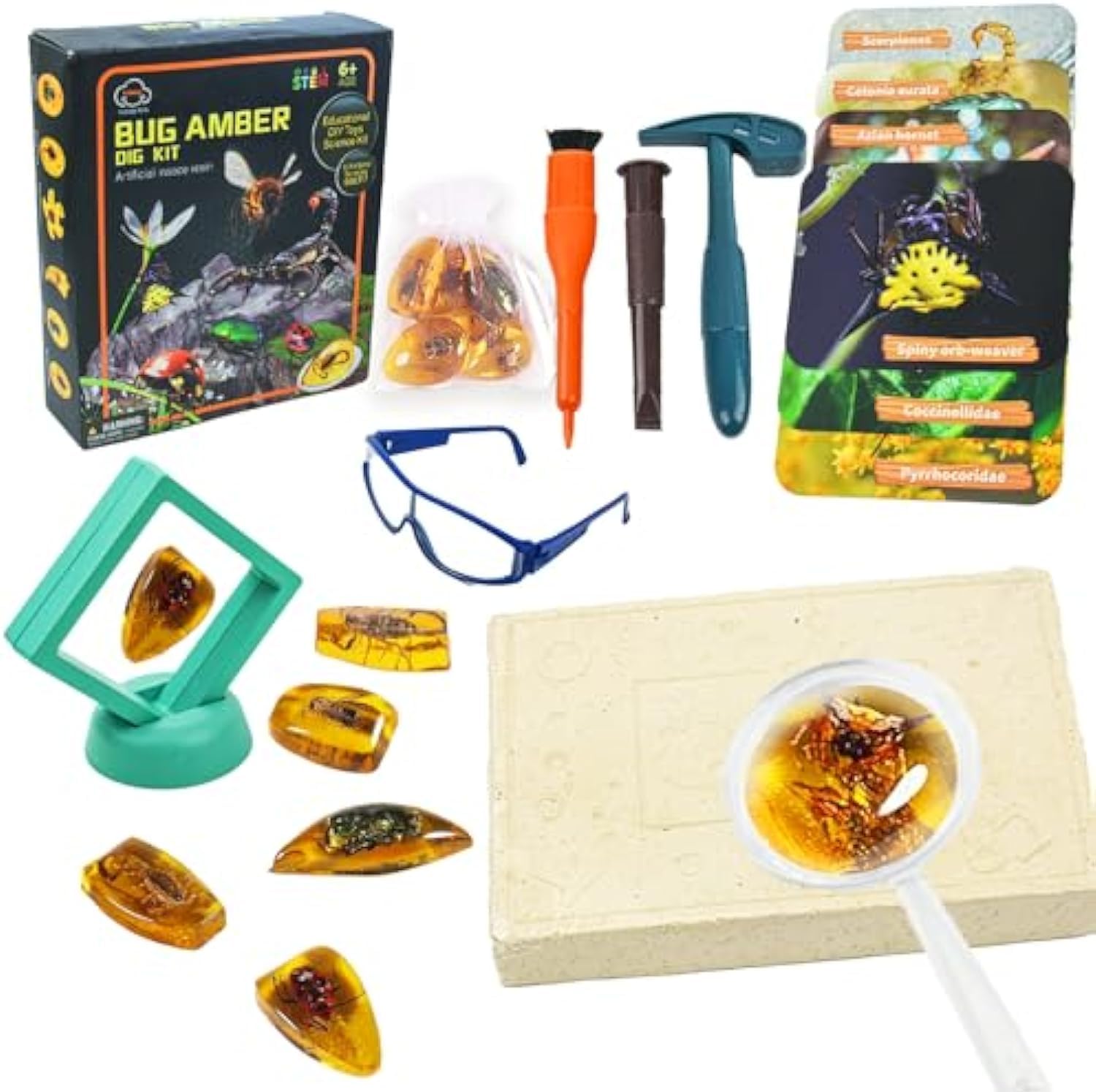 NALACAL Amber Gemstone Dig Kit, Insect Digging Kit Set For Kids, Gem Stones Digging Kit Set, 6 Real Life Gems & Amber, Educational Toys Fossils Science Kit with glasses and display frame Gifts