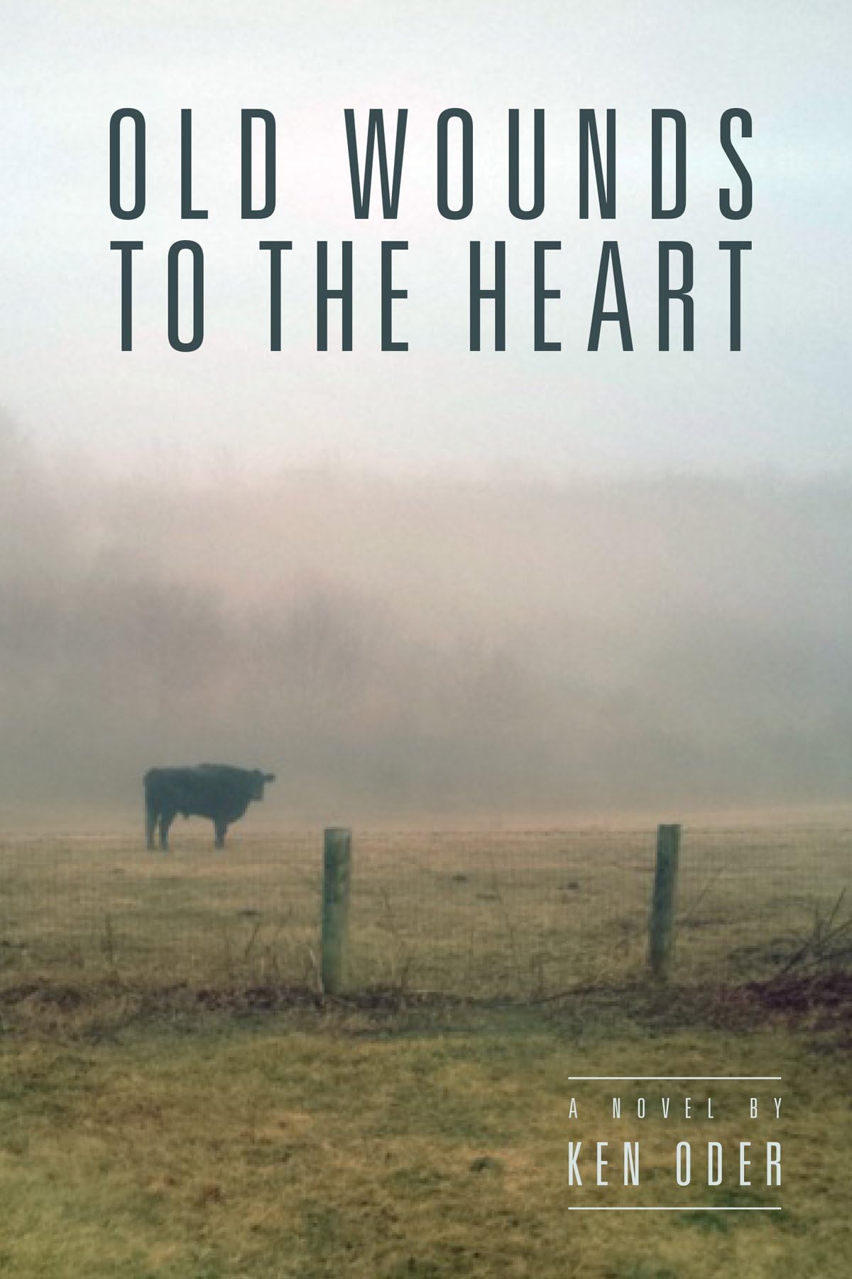 Old Wounds to the Heart (Whippoorwill Hollow Book 2)