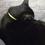 Review Image by Sara M. Sara M.