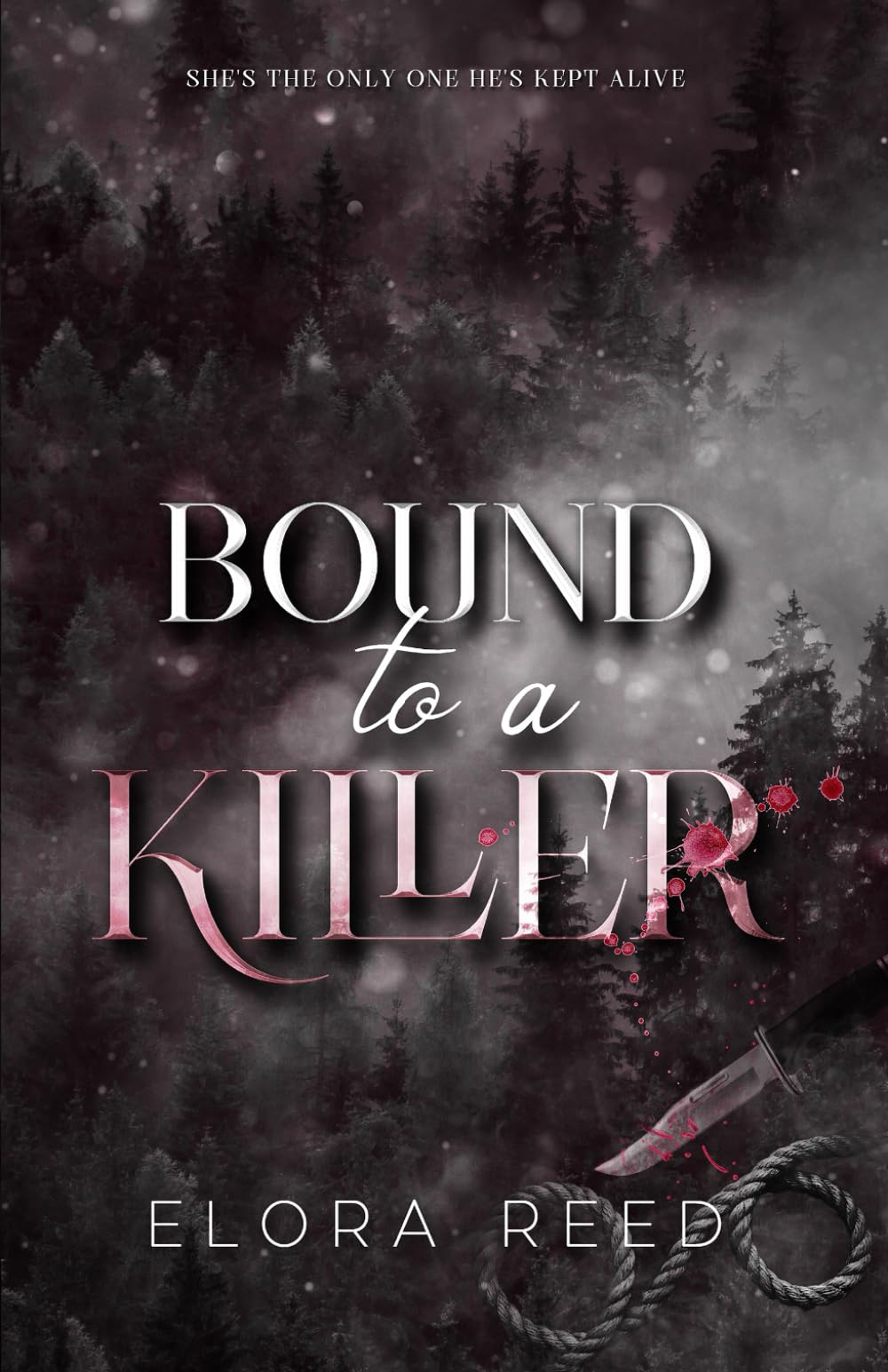 Bound to a Killer: A Dark Romance