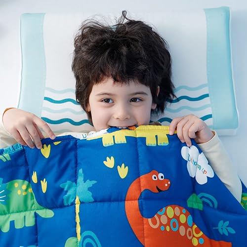 Insugar Manta con peso de 5 libras para niños, manta pesada de dinosaurio para niños, para dormir bien, regalos para niños y niñas, suave,