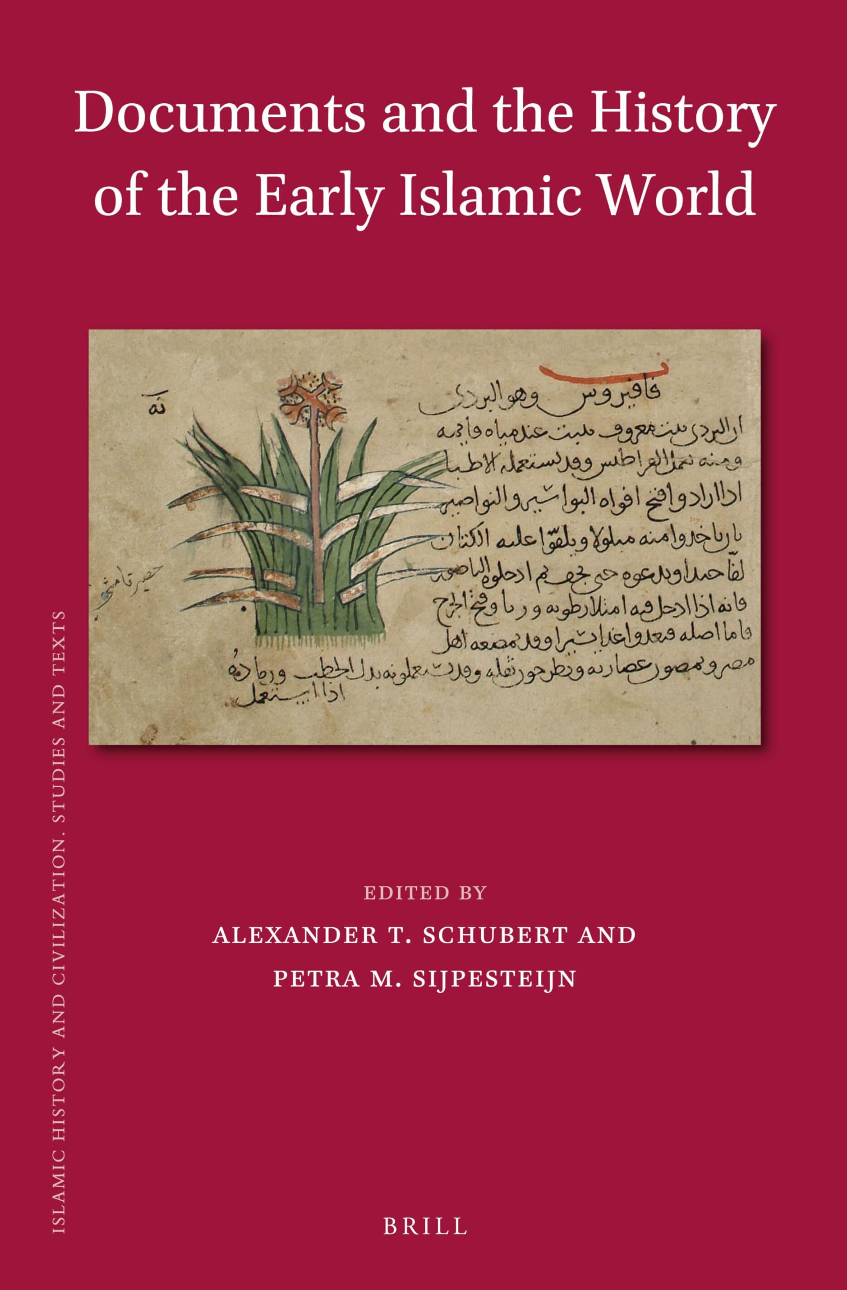 Documents and the History of the Early Islamic World: 111 (Islamic History and Civilization, 111)