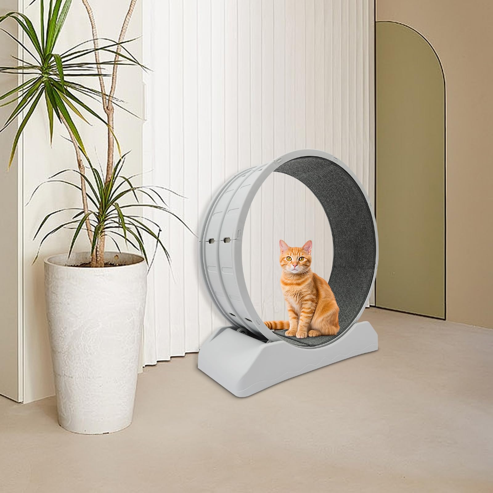 Rueda redonda para gatos con bloqueo, capacidad de carga de 10 kg, para hogares, tiendas de mascotas, 80 x 35 x 85 cm, color gris