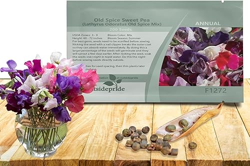 Miniatura 1 de Outsidepride 200 semillas anuales Lathyrus Odoratus Old Spice Sweet Peas Mezcla de semillas de vid para plantar