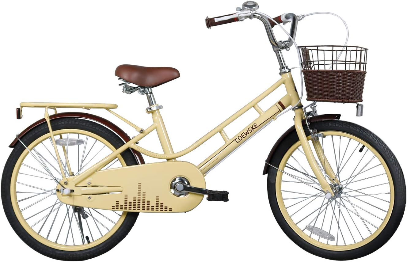 20 Inch Kids Bike Bicycles Fantasy-Style, Children Toddler Girls Leisure Bicycle with Basket Kickstand Included Fit for 7-10 Years Old Or 49-57 Inch Kids 3 Color