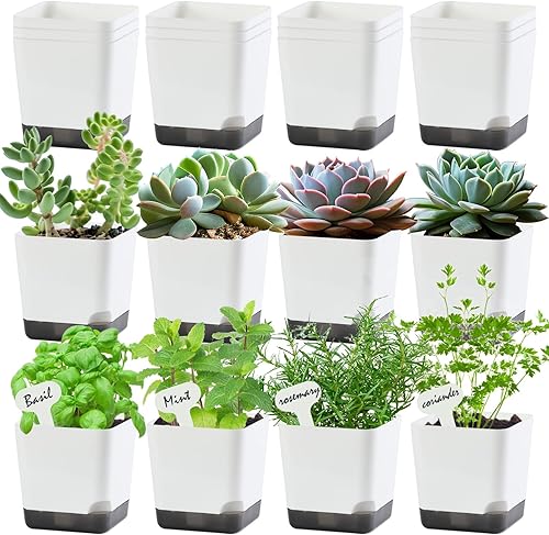 Macetas pequeñas de 3 pulgadas, macetas de plántulas, paquete de 20 macetas de plástico para plantas de interior y exterior, macetas decorativas