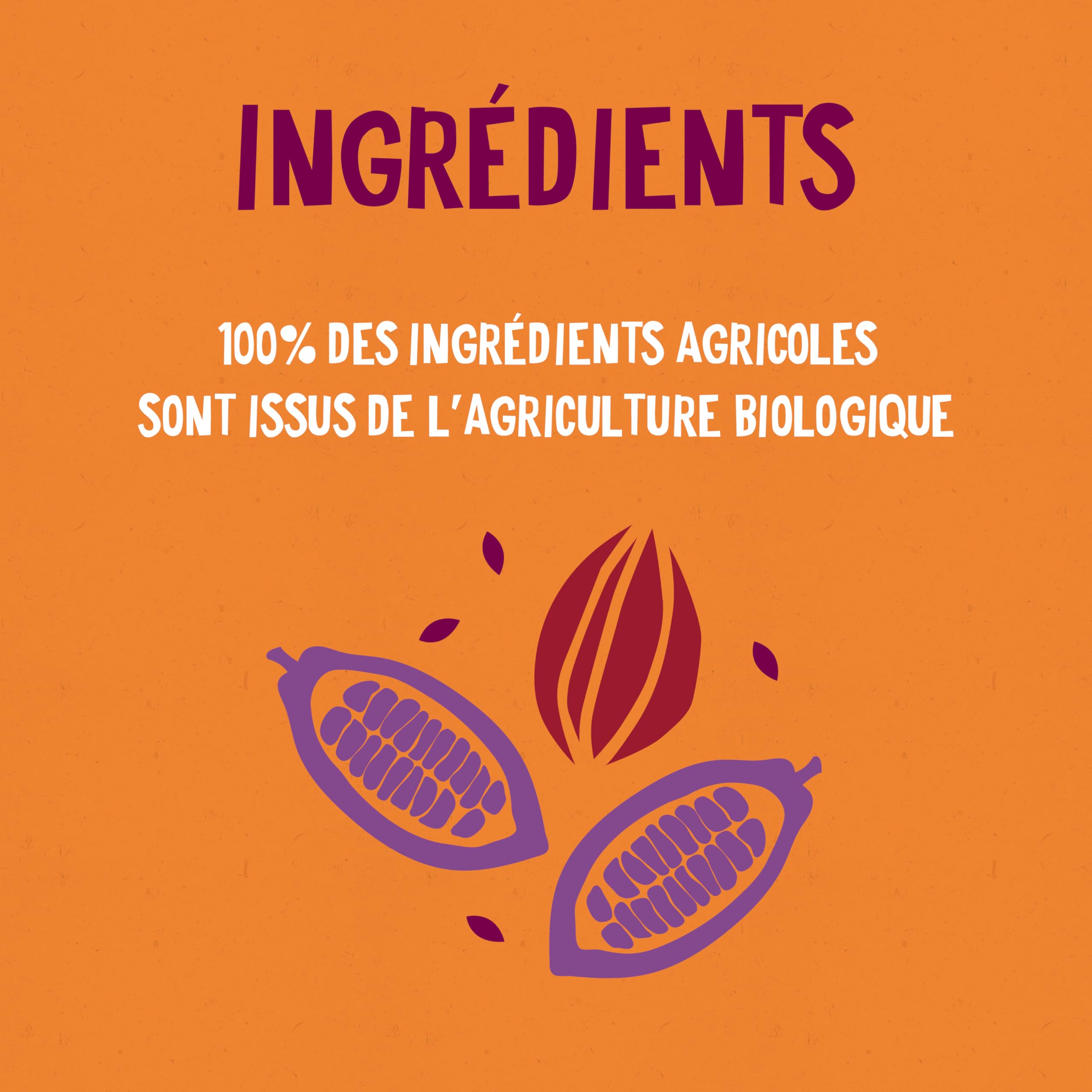 ALTER ECO - Chocolat Noir Fruit De La Passion - Bio & Équitable - 100 g