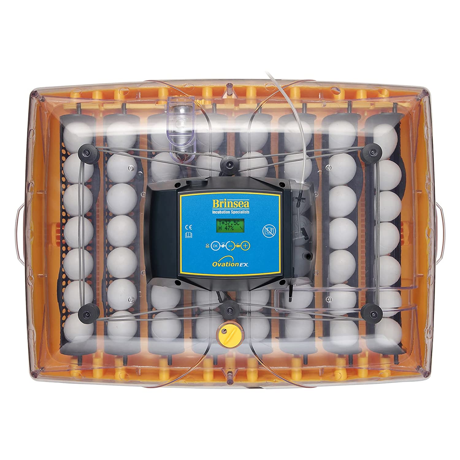 FINCA CASAREJO Incubadora de Huevos BRINSEA Ovation 56 EX - Digital y Control automático de la Humedad