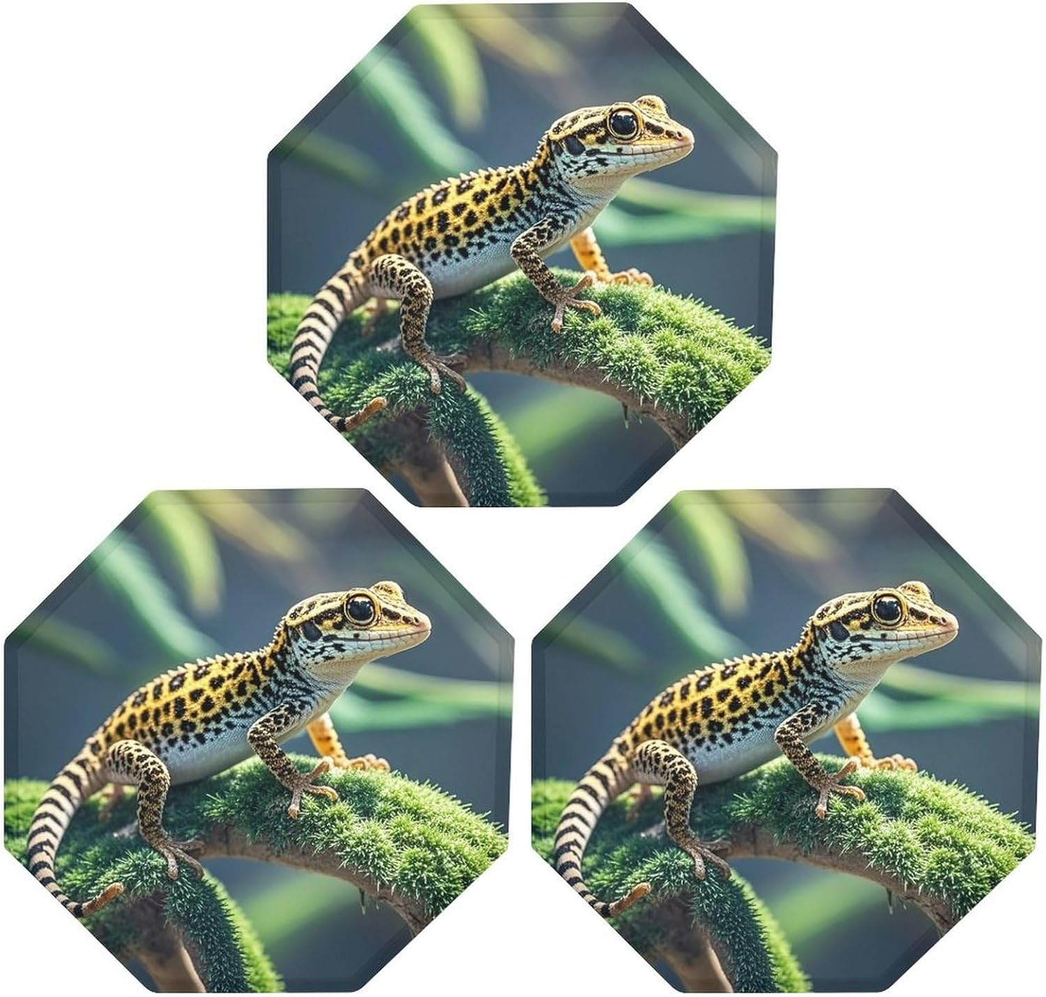 Ctagon Metal Sign for Home, Modern Display Plate for Kitchen, Leopard Little Gecko Plates Accent Hanging Wall Decorations 3PCS for Living Room, Bedroom, Hallway, Hotel