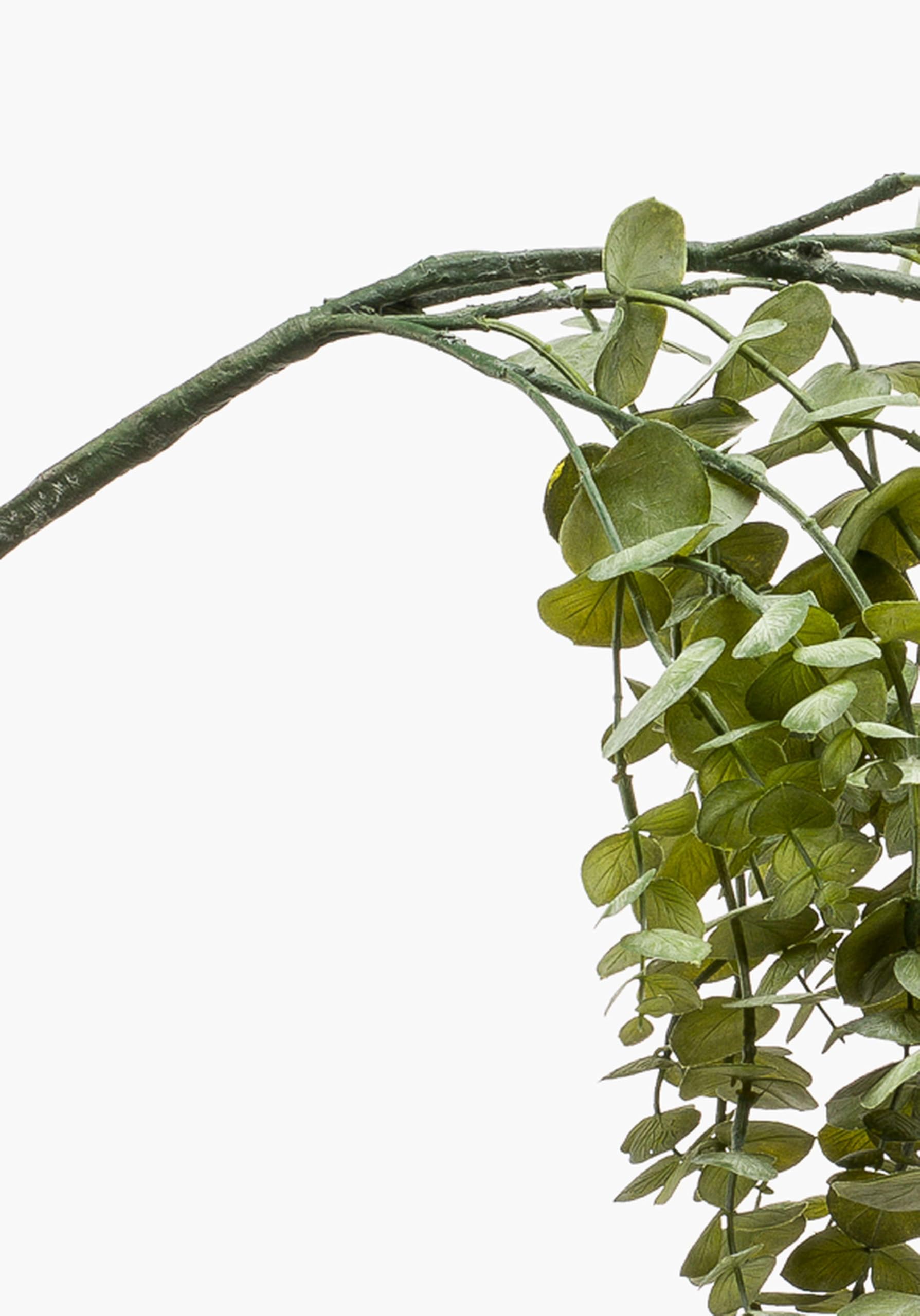 artplants.de Sztuczna gałązka eukaliptusa PINORO, zielona, 120 cm