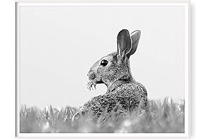 11x14 Vintage Bunny Rabbit Portrait: A Hopping-Good Gift for Easter
