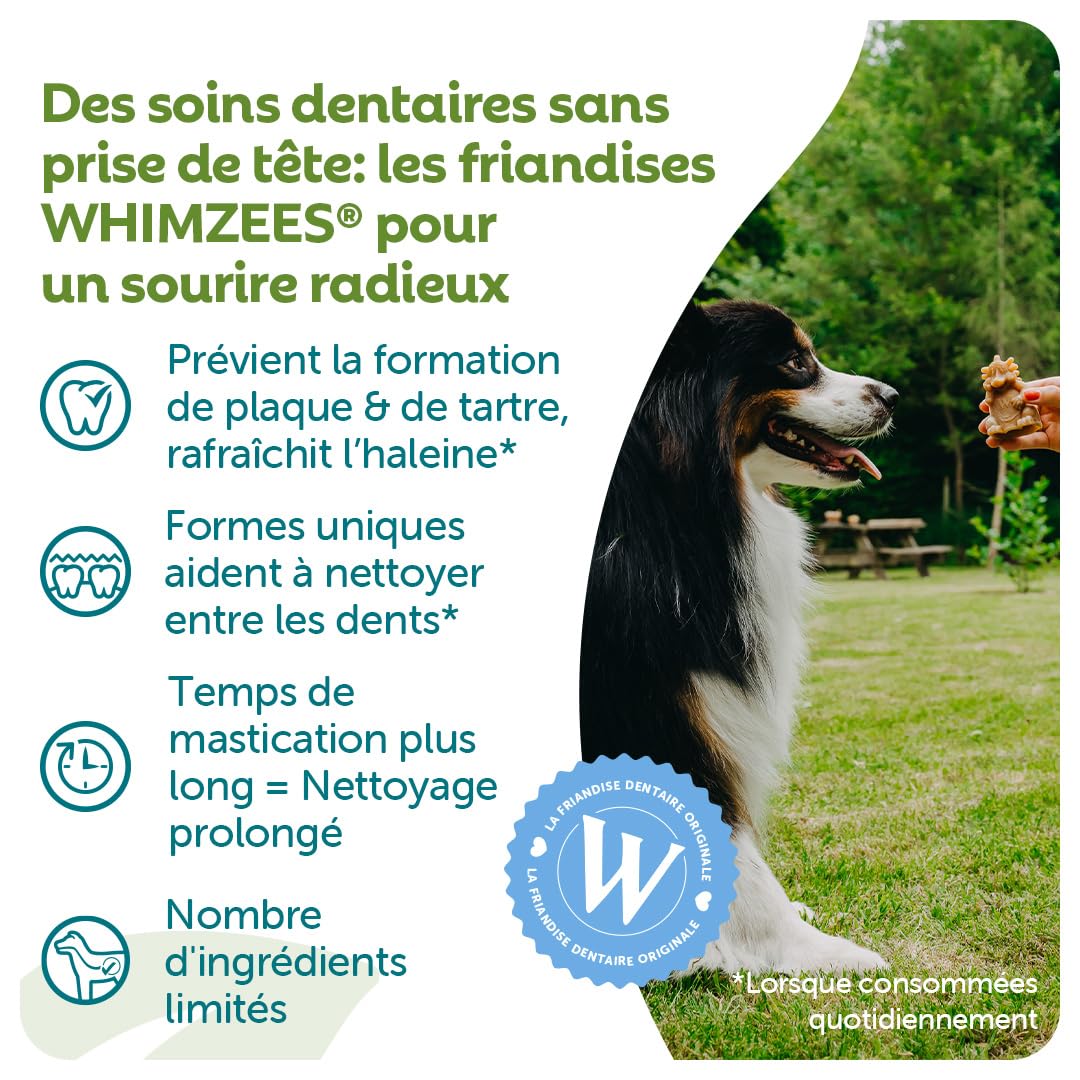 WHIMZEES Hérisson L, 6 Pièces – Taille L, Friandises pour Chiens de Grande Taille, Naturelles & sans Céréale, Végétariennes, sans Sucre Ajouté