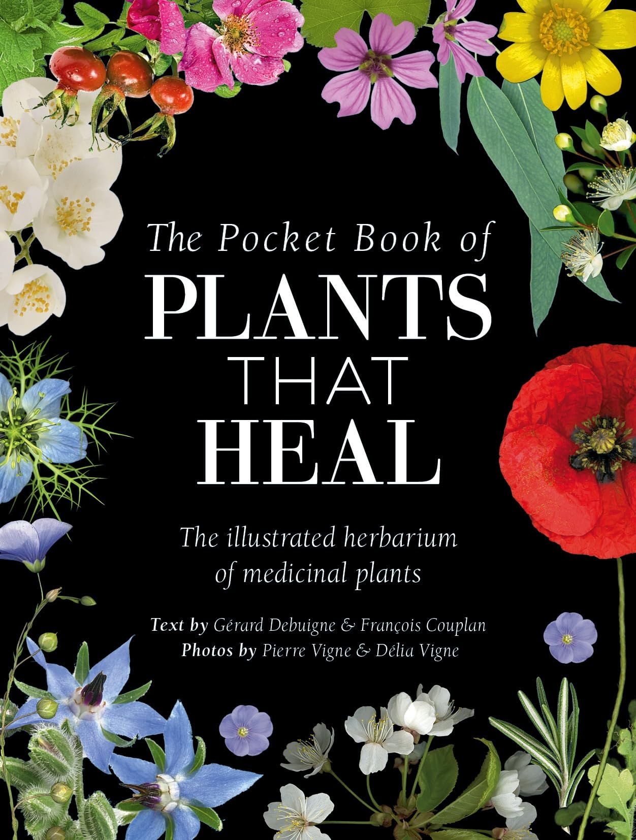 The Pocket Book of Plants that Heal: The illustrated herbarium of medicinal plants