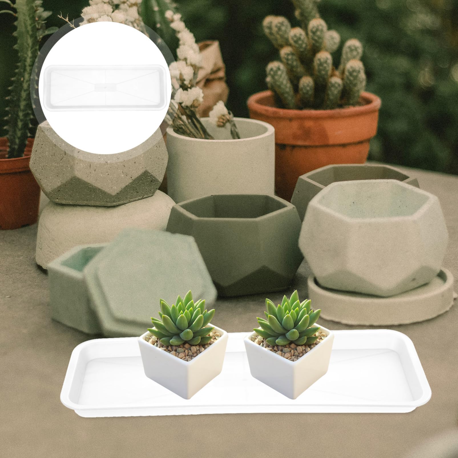 Didiseaon 10pezzi Sottovasi Rettangolari Vassoio per Piante in Pp Supporto Antiscivolo per Fioriere e Bonsai per Uso Domestico e Giardino