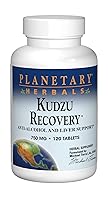 Algopix Similar Product 10 - Planetary Herbals Kudzu Recovery 750 mg