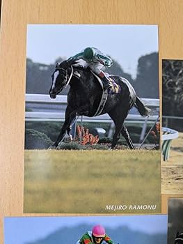 Amazon.co.jp: 競馬 JRA 50周年 ポストカード 馬記念 オグリ