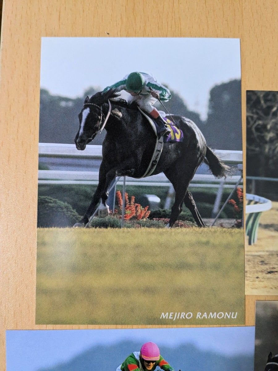 Amazon.co.jp: 競馬 JRA 50周年 ポストカード 馬記念 オグリ