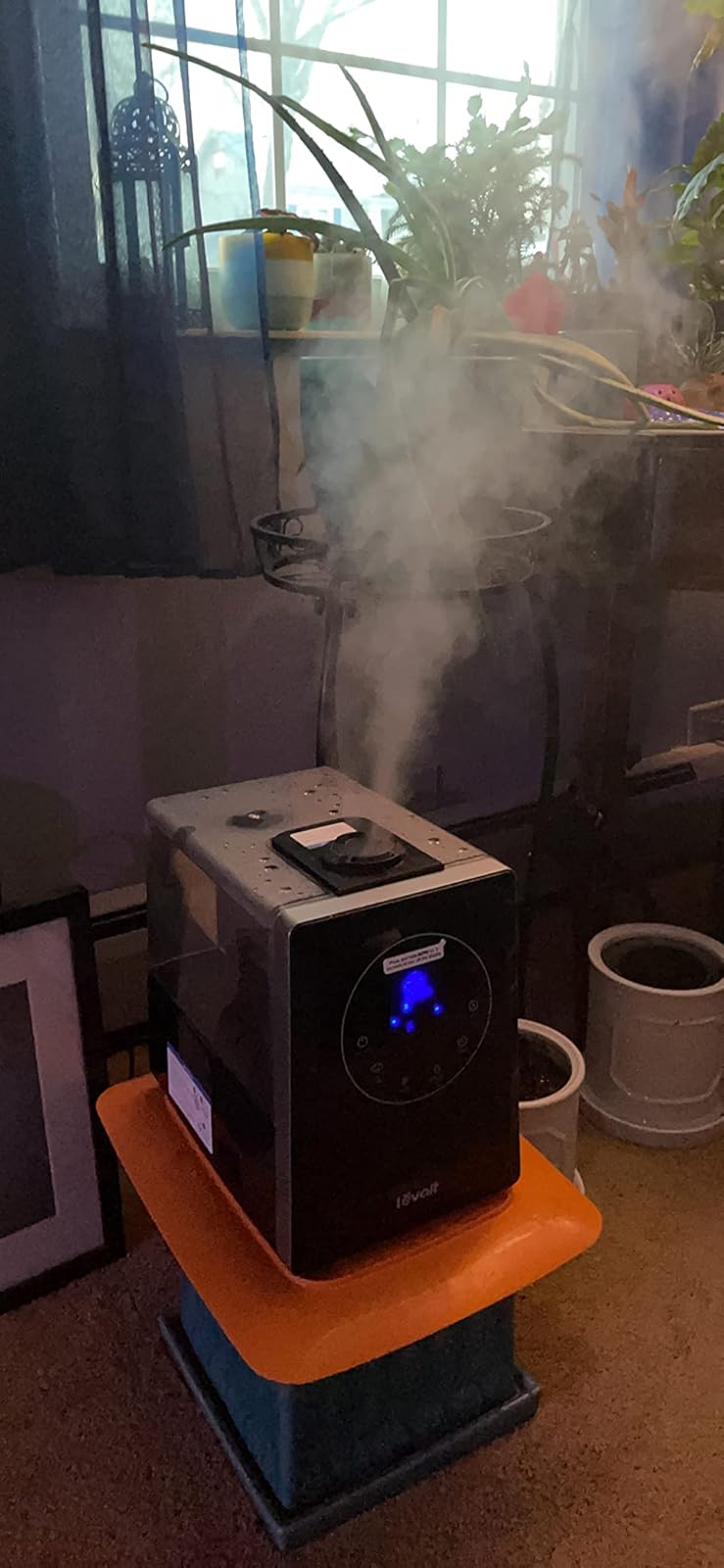 Proper humidifier placement on elevated surface