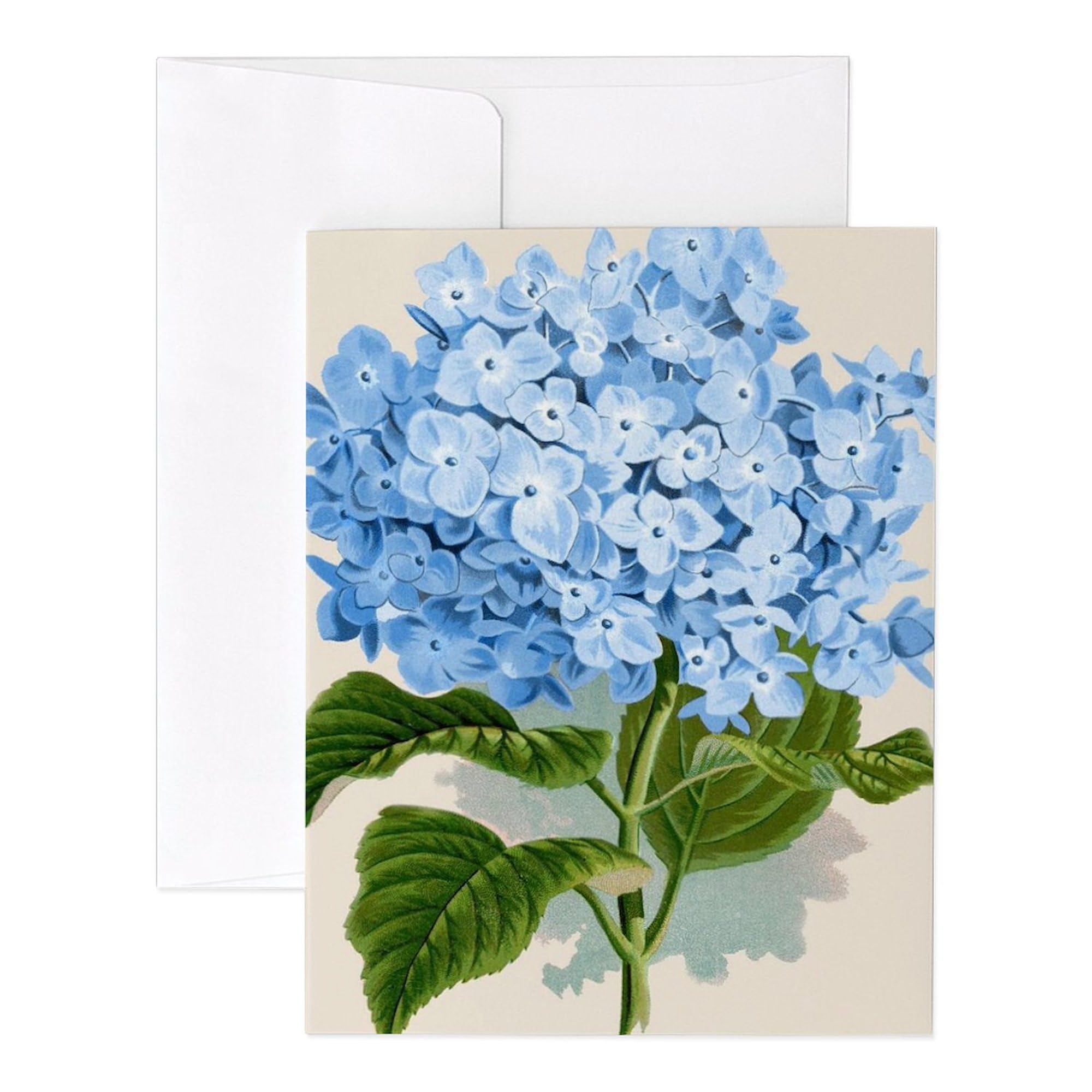 CafePress Blue Hydrangea Flowers Notecards (Set Of 20) 4.25" x 5.5" Notecards 10 Pack