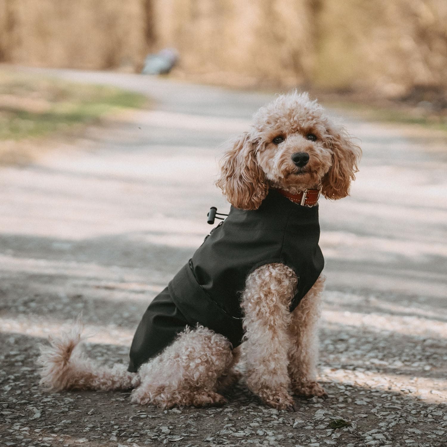 HUNTER Manteau de Pluie pour Chien Milford, Couleur : Noir, Coupe Ergonomique pour Une Protection optimale, réglable Individuellement, Fermeture éclair pour Porte-Vaisselle, Facile d'entretien et