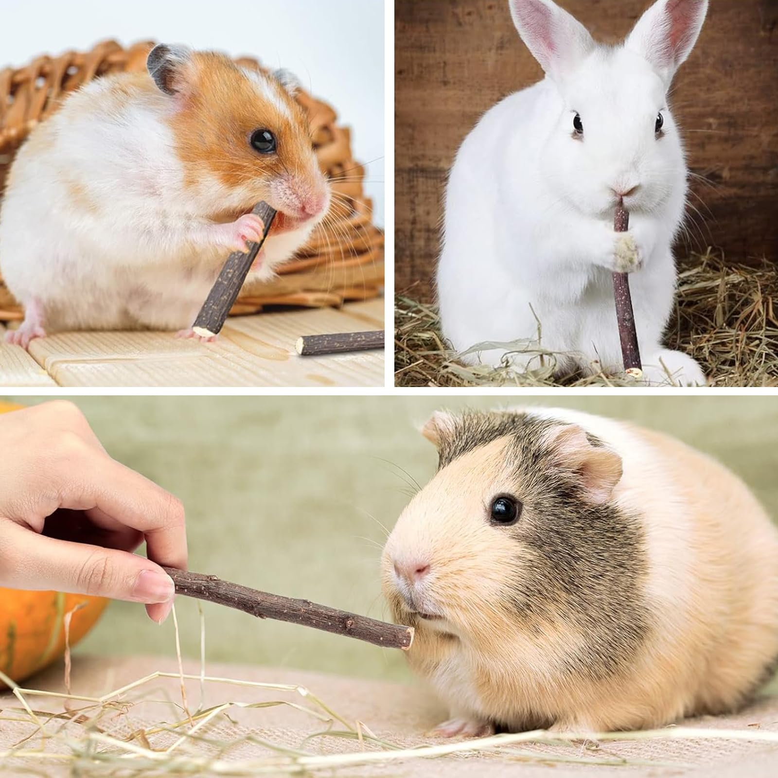 Natural Apple Sticks for Hamsters Guinea Pigs & Rabbits - 200g Molar Chew Toys, black - Image 4