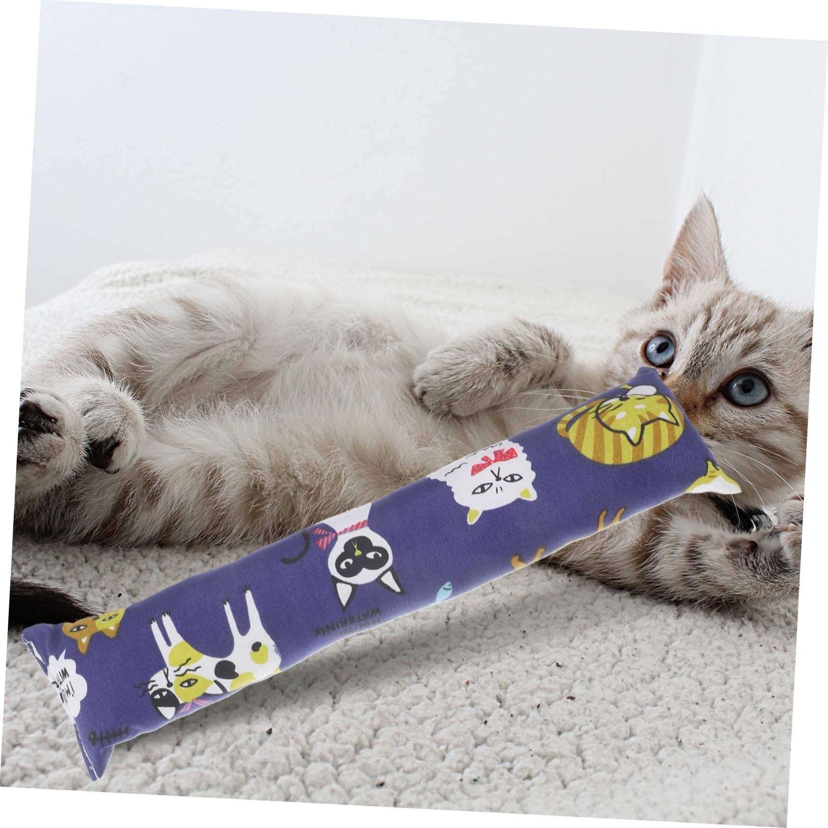 Happyyami 12pièces Jouets pour Chats avec Herbe à Chat Oreillers Interactifs pour Chaton Jouets à Mâcher pour Intérieur