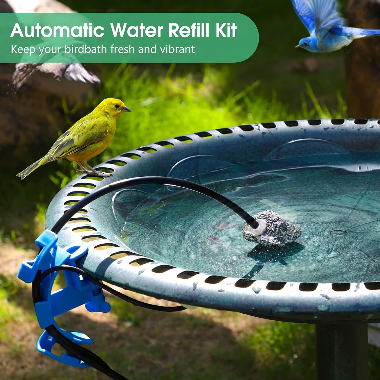 Automatic Water Refill Kit for Bird Bath Outdoor Garden Bird Feeder Bowl, BirdBaths Auto Water Replenishment Device fit for Glass, Plastic, Ceramic BirdBaths Easy to Install
