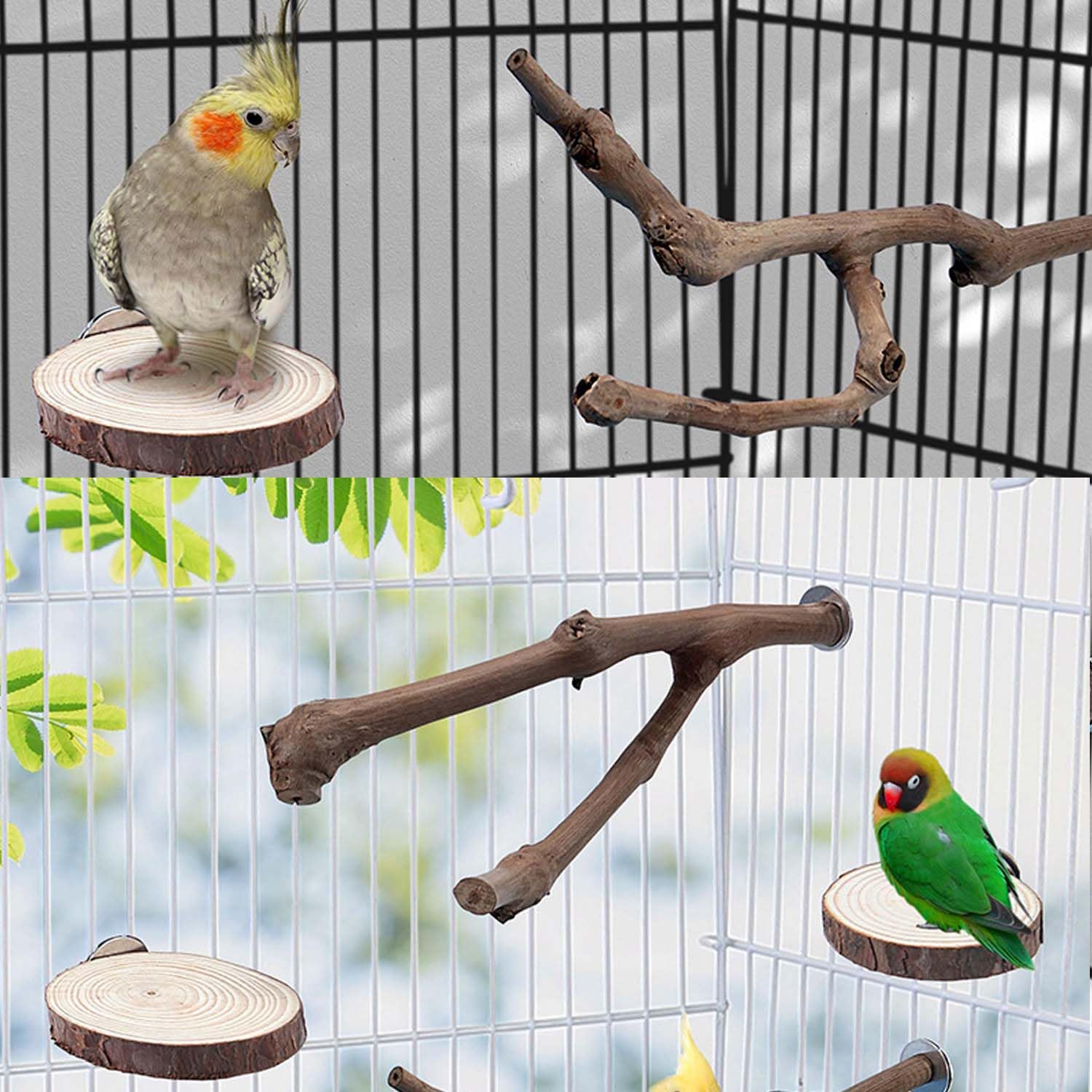 7 Pz Posatoi in Legno di Uccelli, O Forma Posatoi per Uccelli, Posatoi in Legno per Uccelli Legno Naturale per Cacatua, Cocorite