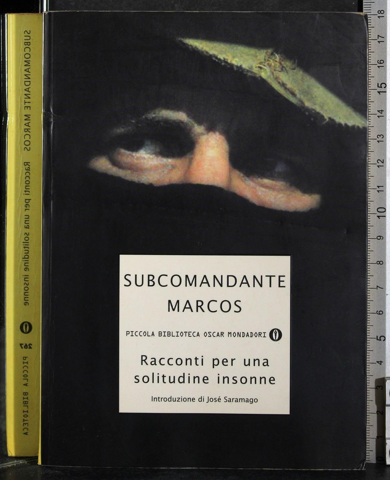 Racconti per una solitudine insonne