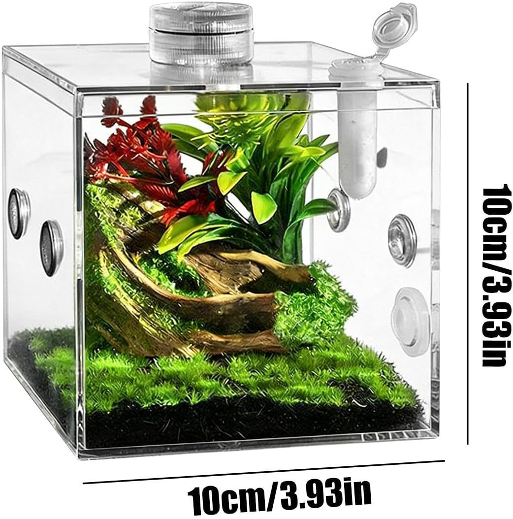 Small Reptile Enclosure | Clear Pet Breeding Box - Praying Mantis Enclosure - for Snail Mantis Lizard Small Animal Praying Home Indoor