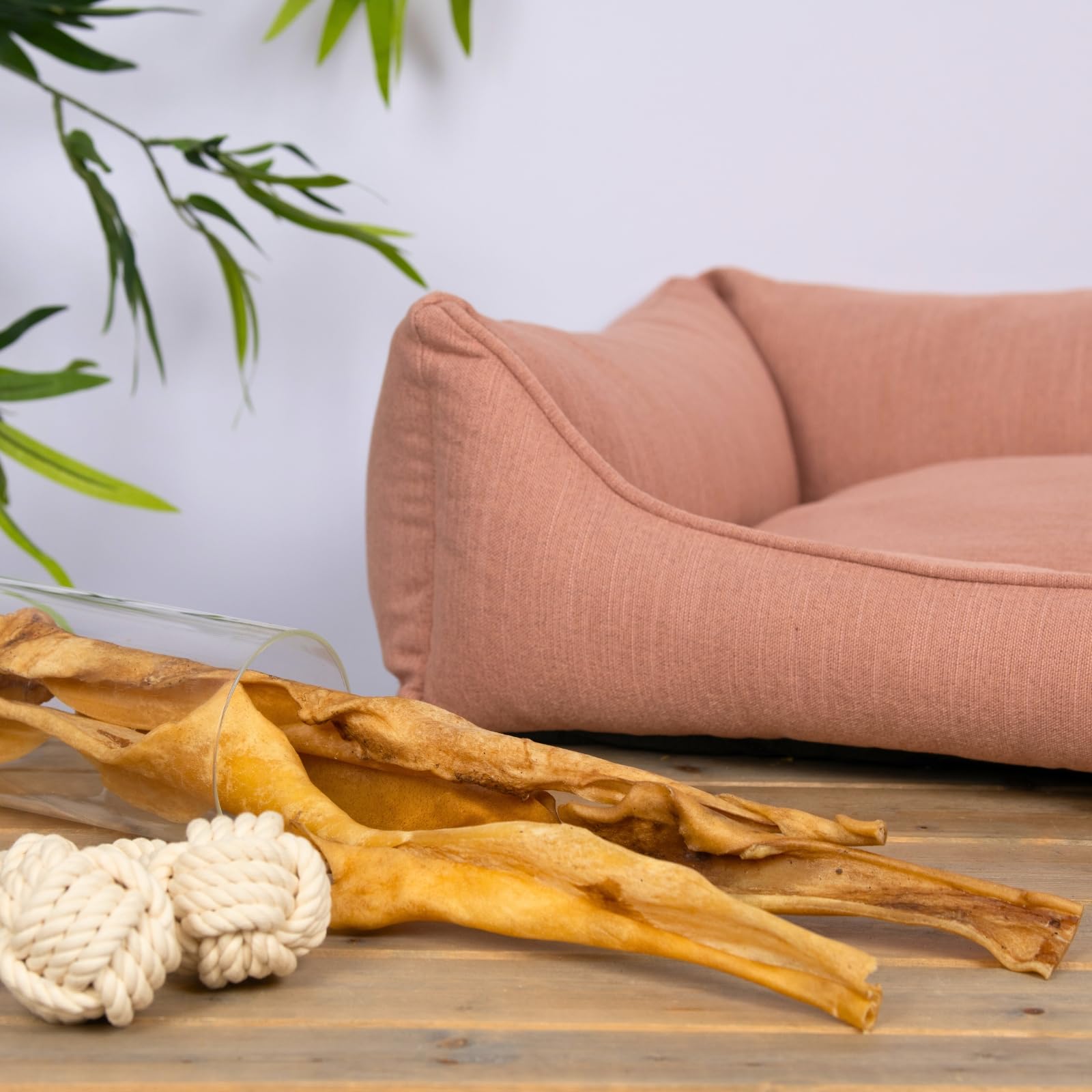 Lyra Pet® 5 x 10 STK. Rinderkopfhautstangen ca. 50 cm Kauartikel für Hunde | Naturbelassener Kauartikel vom Rind - Proteinreiches Leckerli - Extra lange, harte Konsistenz - Fettarm & leicht verdaulich