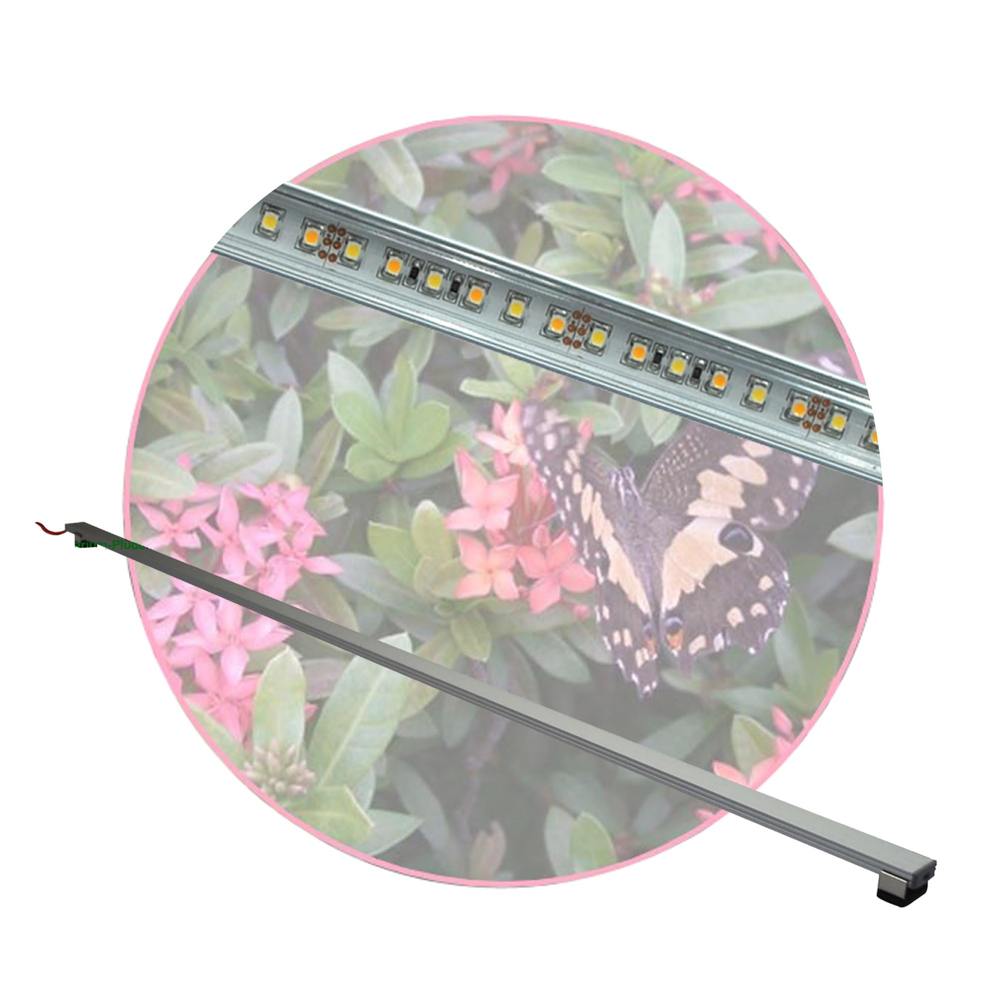 Regenwald Terrarium, Set1: 1x LED-Beleuchtung 40 cm + Zubehör, LED Leuchtbalken,LED Tropen Pflanzenlicht