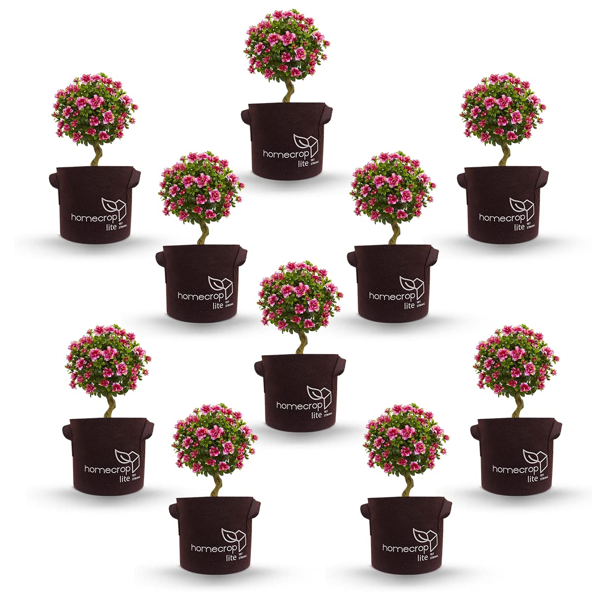 homecrop Fabric Lite 280gsm Grow Bags for Terrace Gardening/Vegetable Plants Growing Bags (10x10 inch, Chocolate (Pack of 10)) (B09MB7Z198) Amazon Price History, Amazon Price Tracker