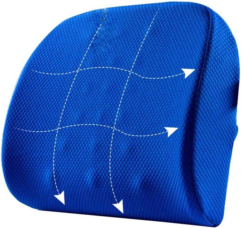 Lumbar Pillow - Memory Foam Back Cushion Lumbar Support Pillow for Office, Car and Chair, Standard(E)