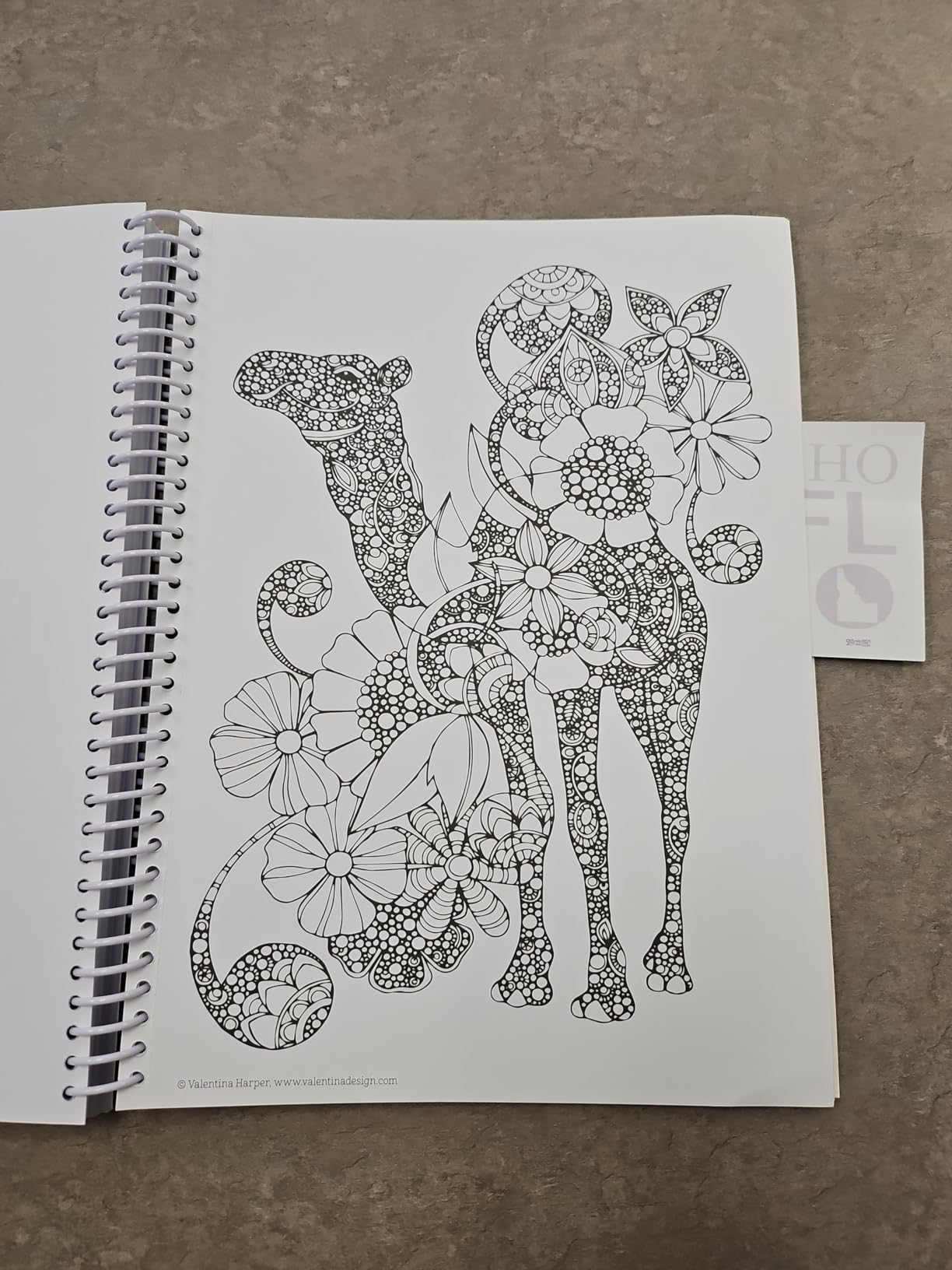 Amazon.com: Mandalas and More Coloring Book Treasury: Beautiful Designs