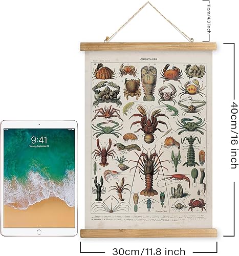 Miniatura 42 de XIAOAIKA Póster de botánica vintage con marco de madera, tabla de plantas venenosas antiguas, arte educativo botánico con especies peligrosas, 1