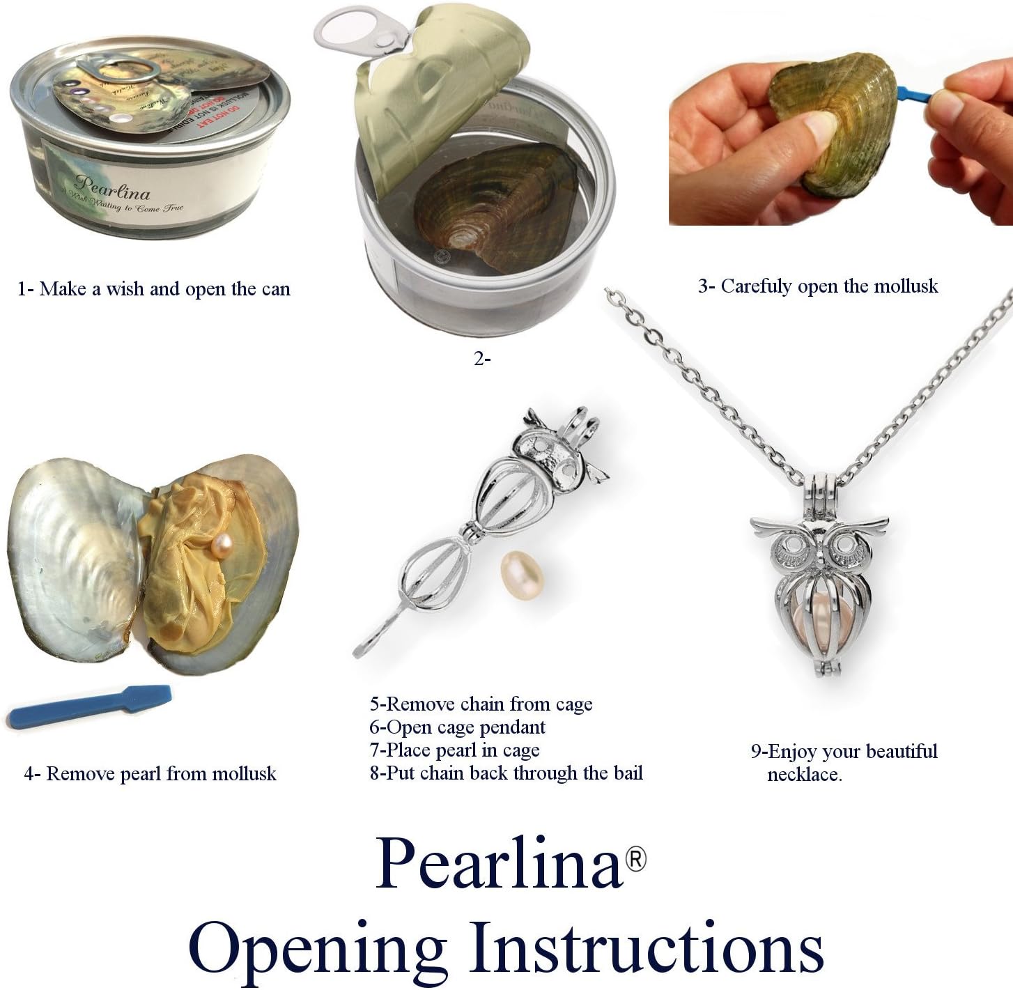 Pearlina Owl Cultured Pearl in Oyster Necklace Set Silver-tone Cage w/Stainless Steel Chain 18"