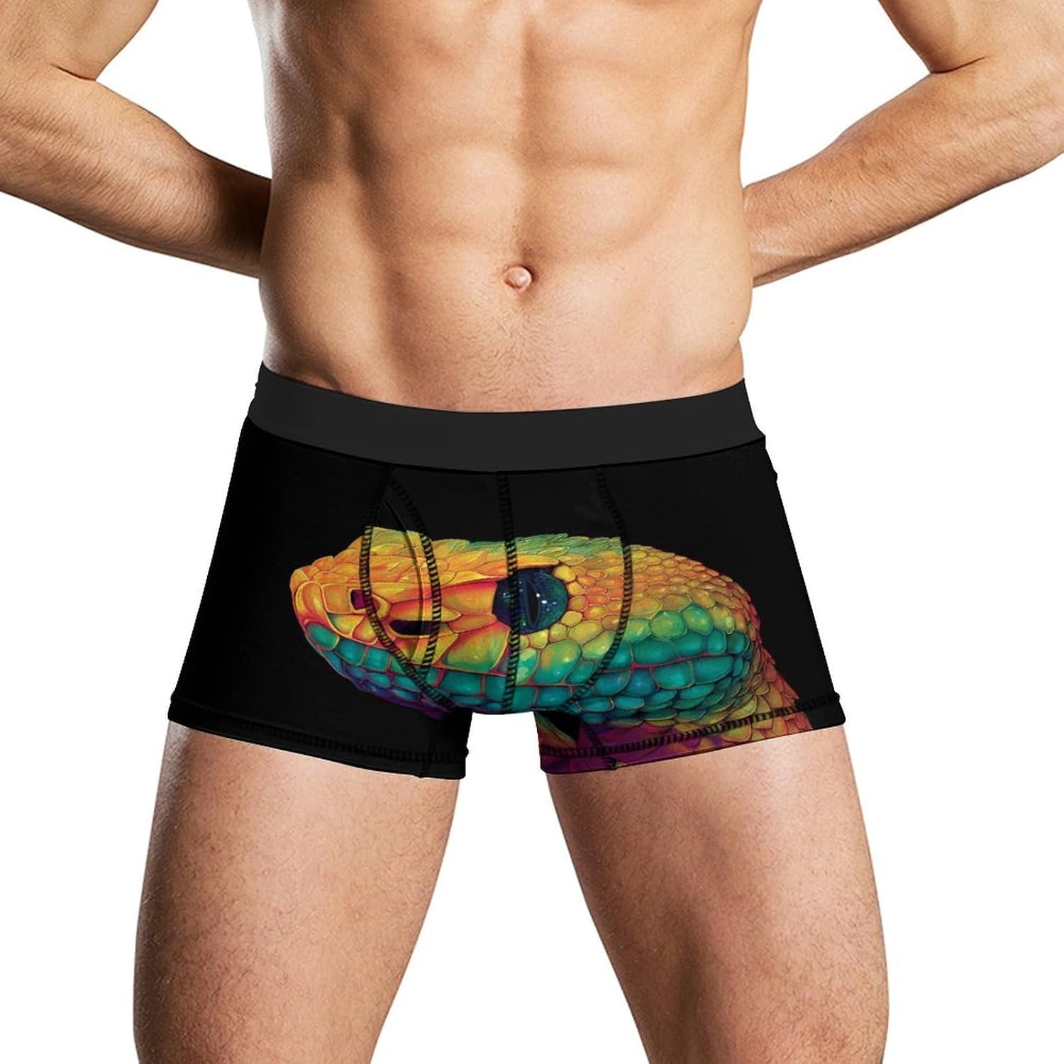 Rainbow Colored Snake Novelty Men's Boxer Briefs Soft Breathable Underpants Trunks Stretch Underwear
