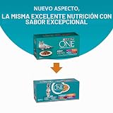 Ver la foto 2