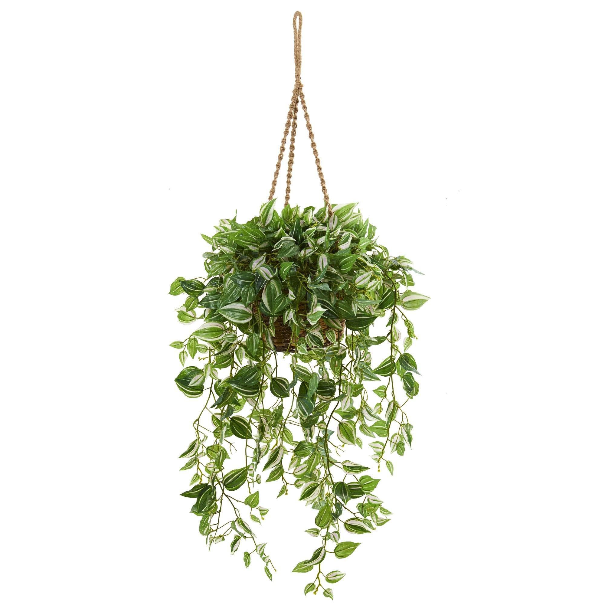 Casi Natural 51 Pulgadas. Wandering Jew - Cesta Colgante Artificial (Tacto Real), Color Verde